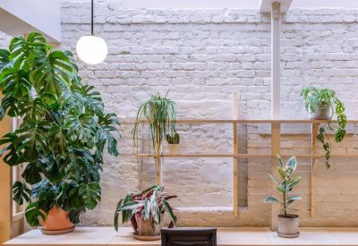 Open workspace featuring a minimalist wooden desk against a white brick wall decorated with leafy plants.