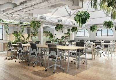 Bright open-plan office with rows of white desks, ergonomic black chairs, and hanging greenery.