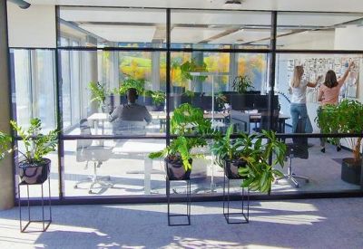 Open-plan office area with glass walls and various potted plants.