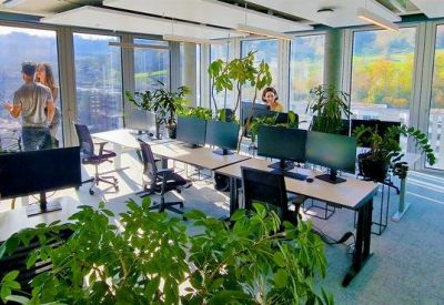 Brightly lit collaborative workspace with ergonomic chairs and green plants.