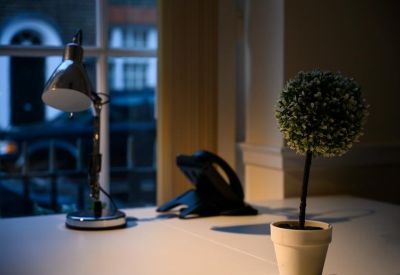 Close-up of a desk with a silver lamp and small potted plant near a window.