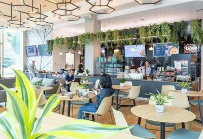 On-site cafe and communal area with wooden tables, hanging plants, and modern lighting.