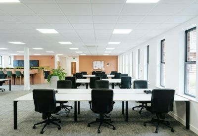 Symmetrical office workspace with black ergonomic chairs and a central green planter.
