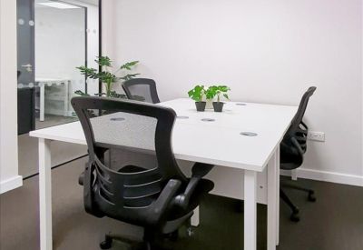 Modern four-person workstation with white desks and green potted plants.