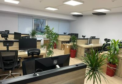 Modern open-plan office with wooden desks and several green indoor plants in red pots.