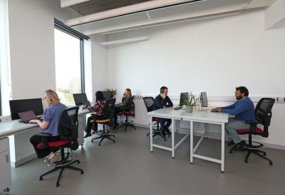 Bright, open-plan office space with professionals at individual workstations.