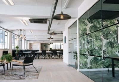 Open-plan office space featuring a tropical leaf print feature wall and black lounge chairs.