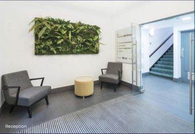 Inviting reception area featuring grey armchairs, a yellow ottoman, and a vibrant green plant wall.