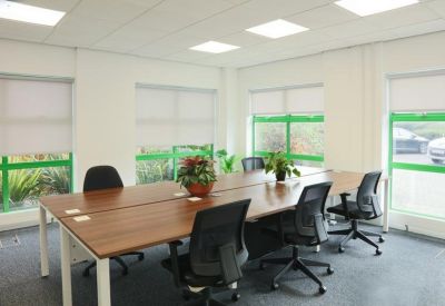 Shared workspace with a long wooden table, ergonomic chairs, and potted plants.