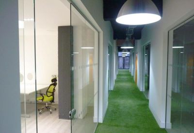 Modern hallway with bright artificial grass flooring and glass-walled office suites.