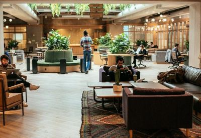 Spacious open-plan lounge with central greenery and comfortable seating areas.