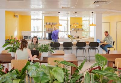 Bright communal kitchen and dining area with yellow walls, potted plants, and wooden tables.