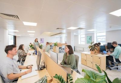 Bright open-plan office space with long wooden desks, ergonomic chairs, and indoor greenery.