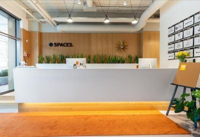 Sleek white reception desk with branded signage, indoor plants, and warm wood wall paneling.
