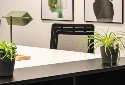 Close-up of workspace desk featuring two potted spider plants and a green task lamp.