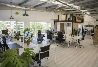 Bright open-plan office with white desks, black chairs, and abundant indoor plants.