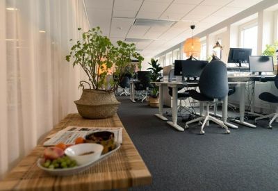 Bright open-plan office with white desks, ergonomic chairs, and indoor plants.