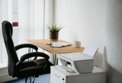 Bright workstation with desk plant, laptop, and comfortable office chair.