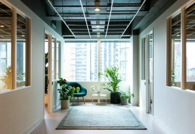 Sunlit office hallway featuring potted plants, a blue armchair, and large windows.