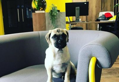 Offices at 79 Chichester Street, Centre House