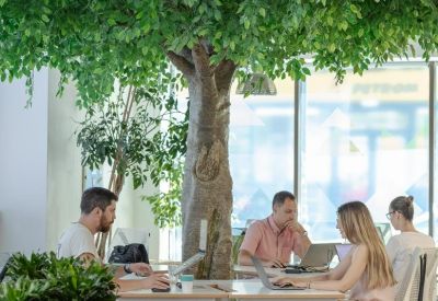 Exterior image of 8, 10 Tudor Arghezi Street, Unimed buliding