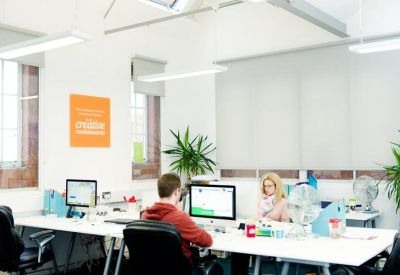 Bright open-plan office workspace with white desks, computers, and indoor plants.
