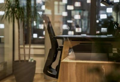 Modern office desk and ergonomic chair viewed through a glass partition with a tall indoor plant.
