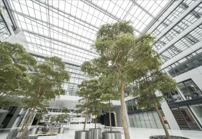 Modern glass-roofed atrium filled with tall indoor trees and natural light.