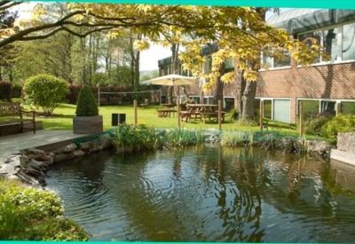 Outdoor patio area with a pond, wooden benches, and lush green landscaping.