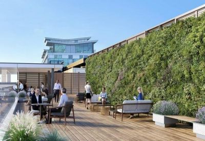 Outdoor rooftop terrace with a large living green wall, wooden decking, and lounge seating.