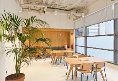 Bright communal coworking area featuring wooden tables and a large indoor plant.