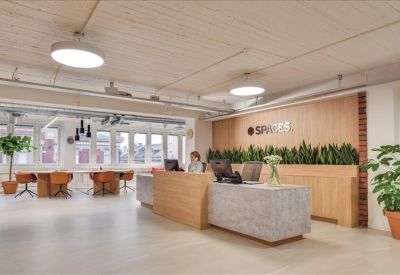 Reception area with light wood paneling, greenery, and a minimalist stone desk.