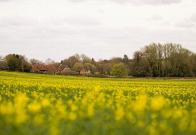 Exterior view of Barnsgrove, White Lane, Greywell