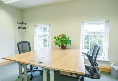 Bright two-person office suite with a wooden desk and a green potted plant by the window.