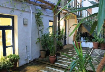 Bright internal courtyard with numerous potted plants, a wooden pergola, and striped decking.