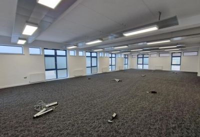 Spacious, empty open-plan office with grey carpeting and modern linear lighting.