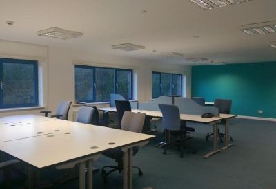 Spacious open-plan office with multiple desks and a teal feature wall.