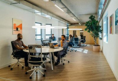Sunlit open-plan office featuring wooden floors, white desks, and large potted trees.