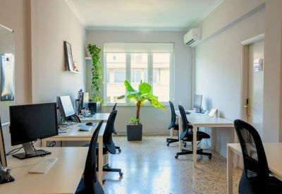 Bright workspace with rows of desks, computer monitors, and indoor plants.
