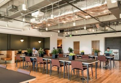 Spacious open-plan office with long wooden tables and green potted plants.