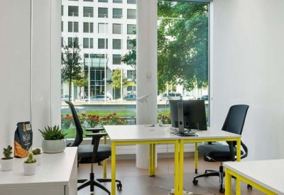 Bright open-plan office space with yellow-framed desks and large windows overlooking trees.