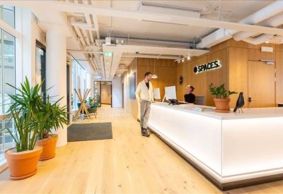 Bright reception area with a glowing white desk, wood flooring, and indoor plants.