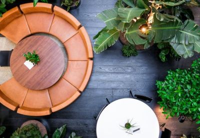 Bird's-eye view of a stylish circular lounge area with orange seating and lush indoor trees.