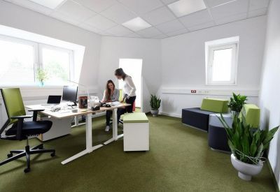 Bright private office suite with a large desk, green ergonomic chair, and indoor plants.