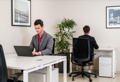 Professional workspace with two individuals at white desks separated by a large indoor plant.