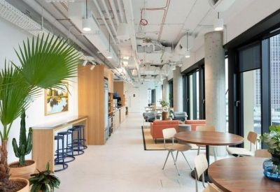 Bright hallway lounge with potted palm trees, café tables, and views of the city skyline.
