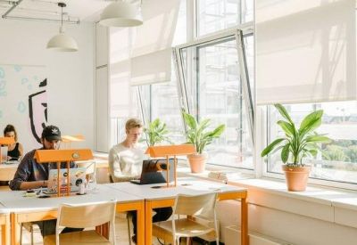 Modern coworking space with wooden desks, desk lamps, and indoor plants.