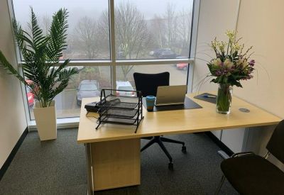Bright corner office with a desk, laptop, and a large potted plant by the window.