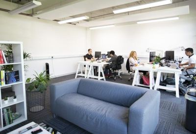 Bright office space with a blue sofa, white shelving, and people working at desks.