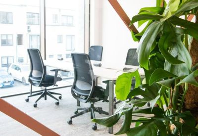 Bright workspace featuring white desks and black mesh chairs near a large window.